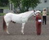 Proof Img_7912