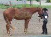 Proof Img_7952