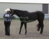 Proof Img_7984