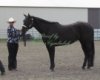 Proof Img_7986