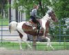 Proof Img_8377