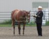 Proof IMG_8026