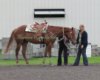 Proof IMG_8483