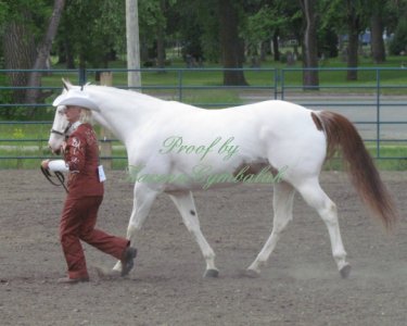 Proof Img_7902