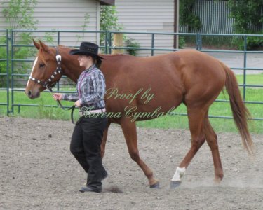Proof Img_7911