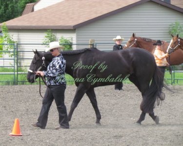 Proof Img_7975