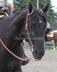 Proof Img_8202