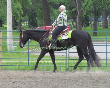 Proof Img_8310