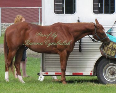 Proof IMG_8019