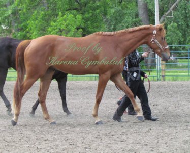 Proof IMG_8043