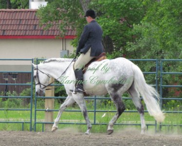 Proof IMG_8072