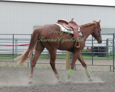 Proof IMG_8097