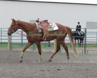 Proof IMG_8123