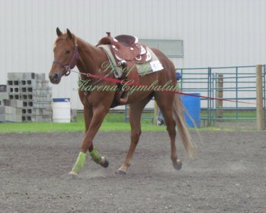 Proof IMG_8132