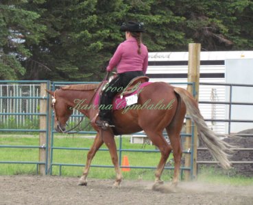 Proof IMG_8154