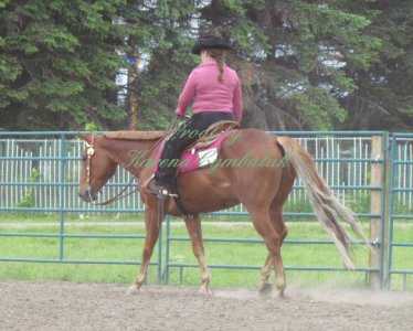 Proof IMG_8155