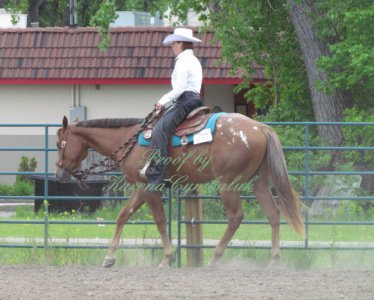 Proof IMG_8169