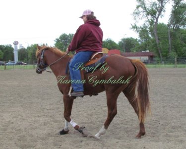 Proof IMG_8190