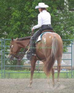 Proof IMG_8224