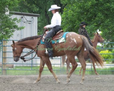 Proof IMG_8228