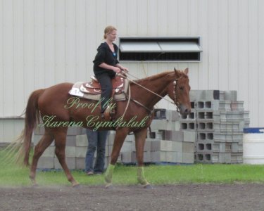 Proof IMG_8481