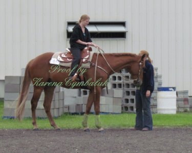 Proof IMG_8482